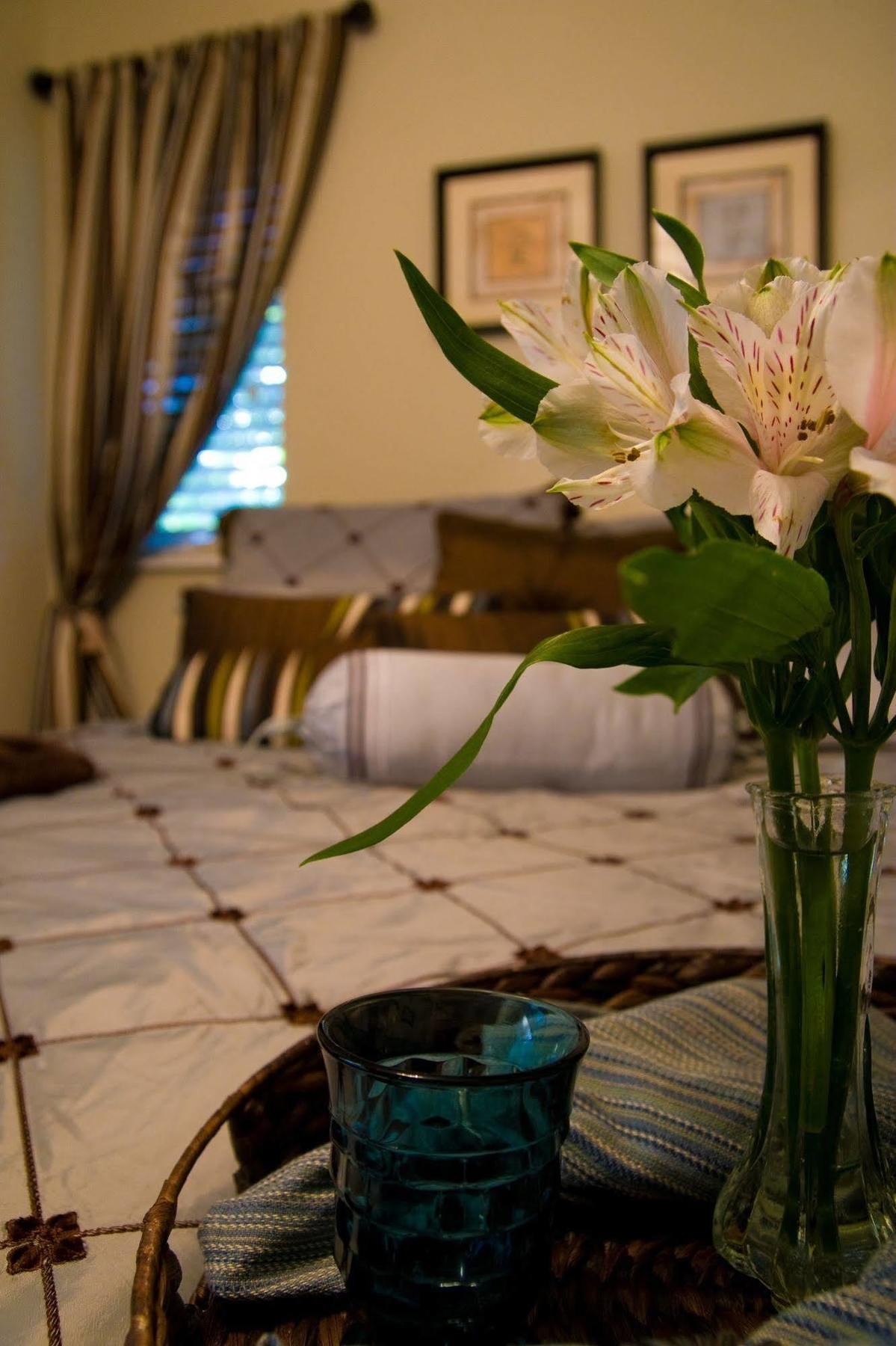 Abigaile'S Treehouse Hotel Bryan Kamer foto